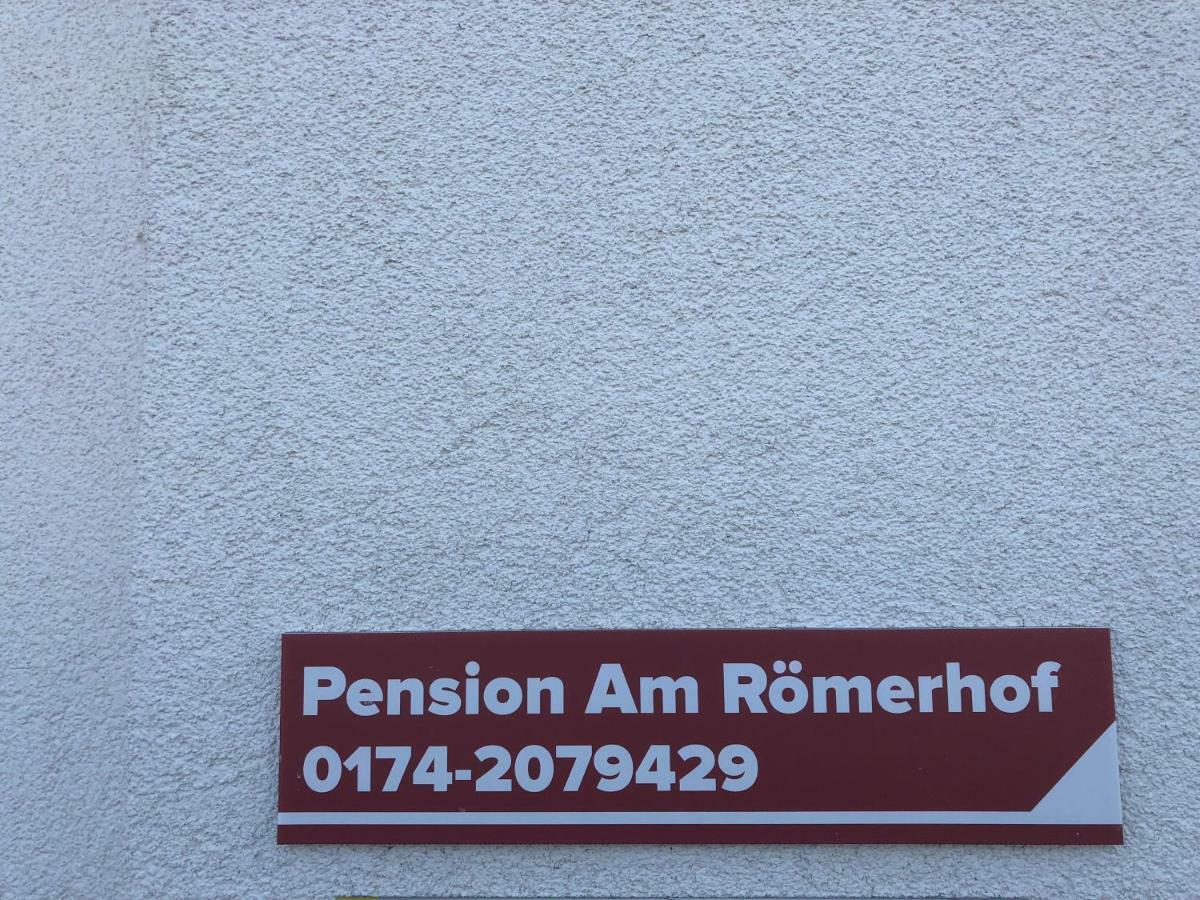 Pension Am Roemerhof Munzenberg Ngoại thất bức ảnh